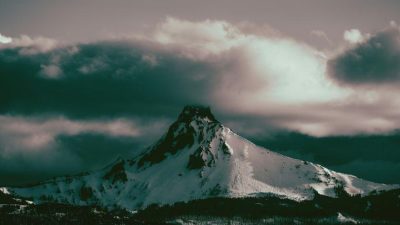 CIO Chartbook: Reversal?