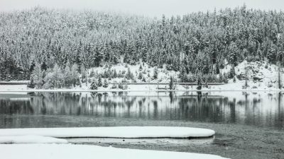 CIO Chartbook: Farewell 2024!