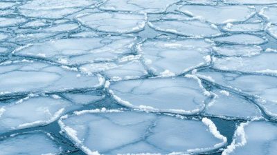 Focus: Energy Transition at What Cost